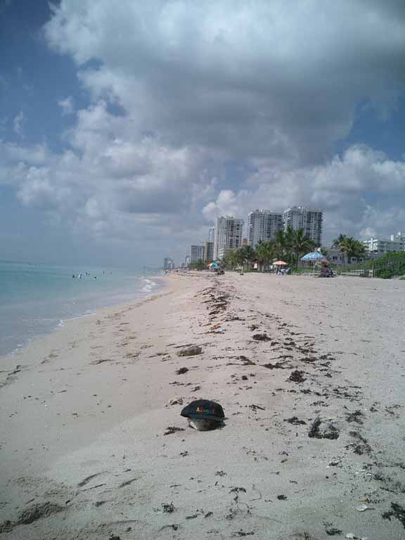 Miami Beach Sun Hotels