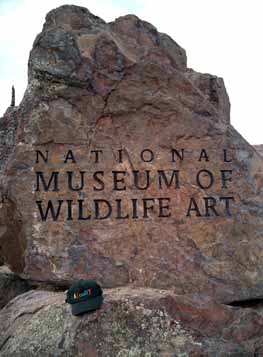 Museum of Wildlife Art