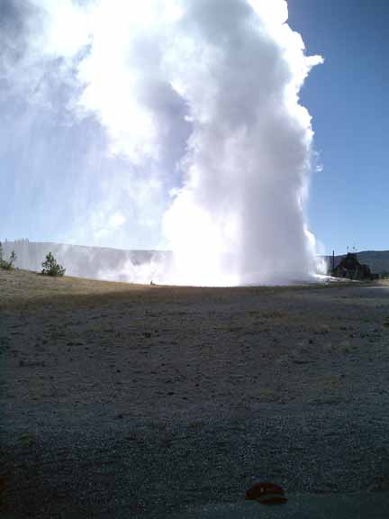 geyser yellowstone park