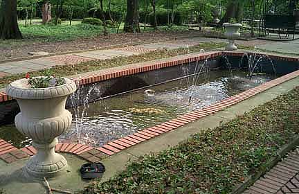 Hungarian Water on Bricks