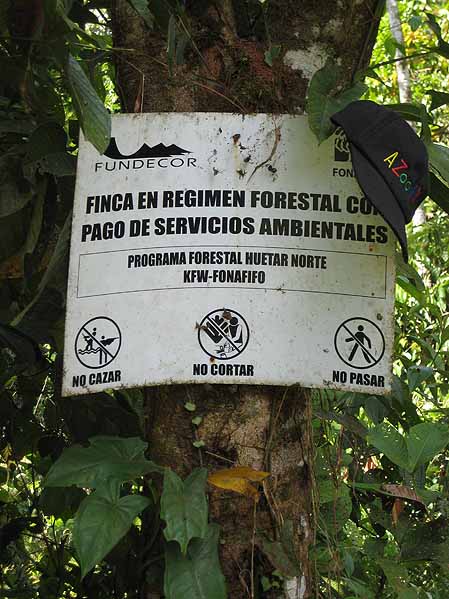 Rain Forest control, access, deliniation
