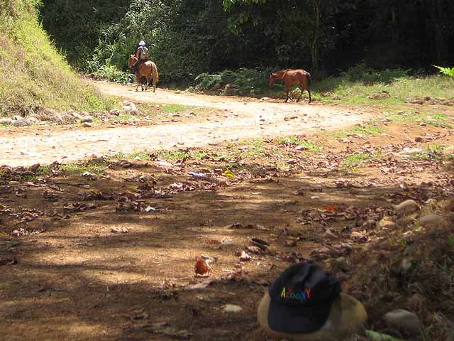 Rosta Rican Road, dirt, red, horse