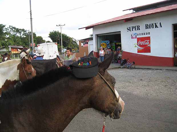 Super Royka, grocery store, horse, town, village