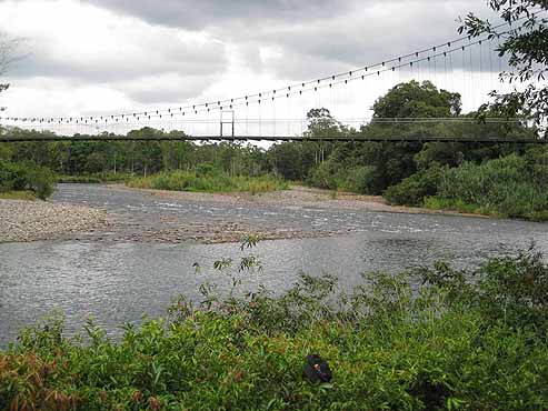 river converge, met, swing bridge, cable bridge