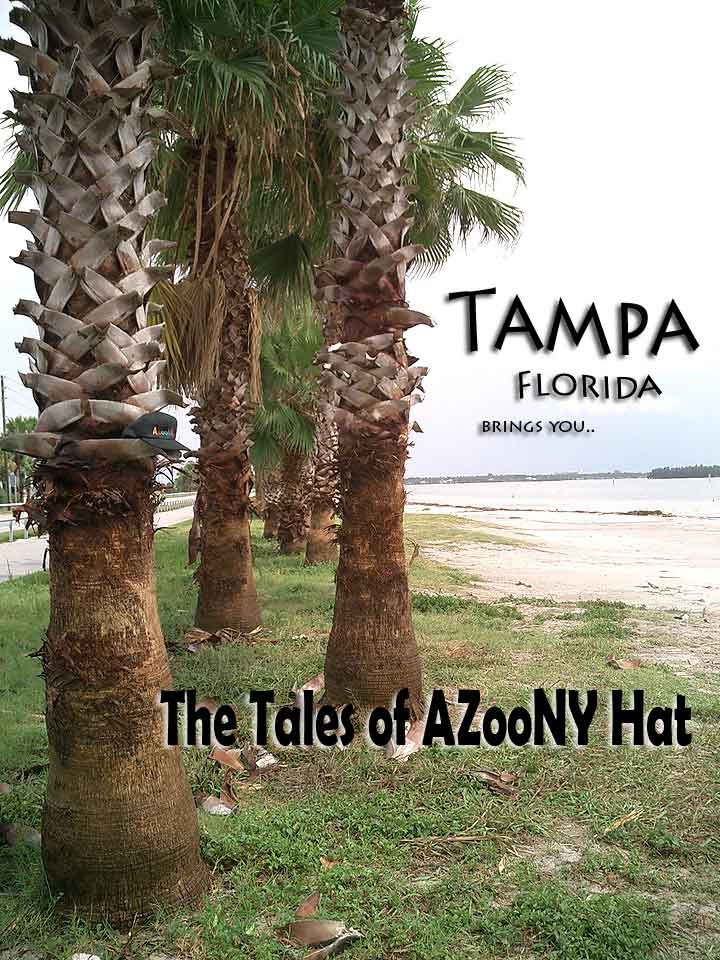 Tampa Bay Florida Beach Tale