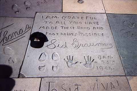 Hollywood Star Sid