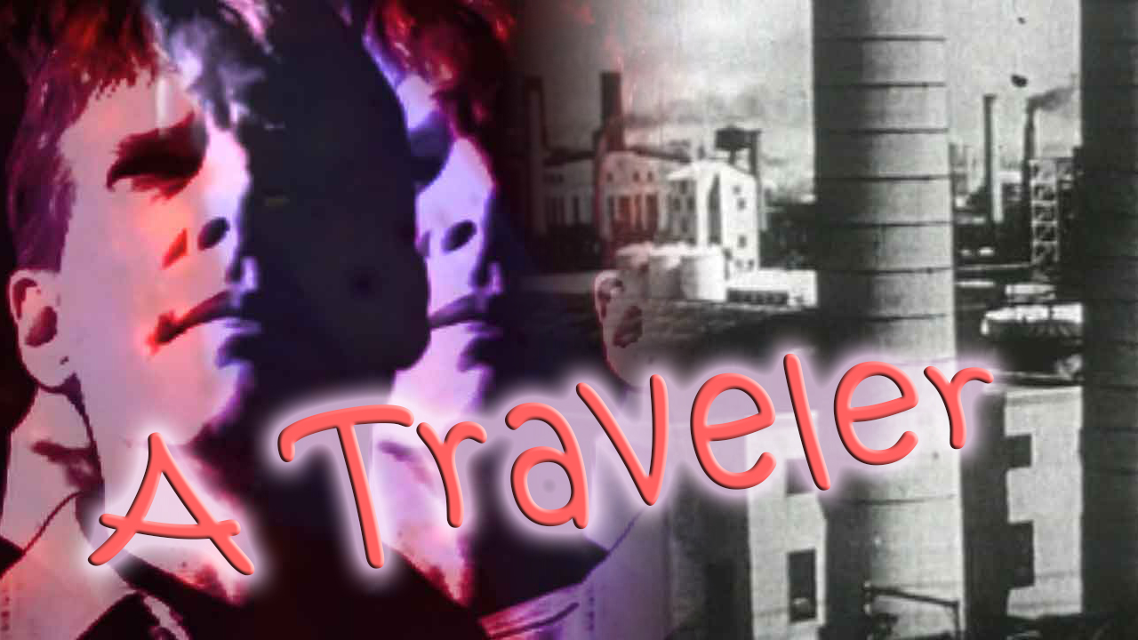 Title-A-Traveler_Many-AZooNYs