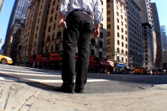 AZooNY-New-York-City-Street-Corner