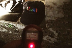 Ghost-Detector-EMF-AZooNY-NUTS-CD